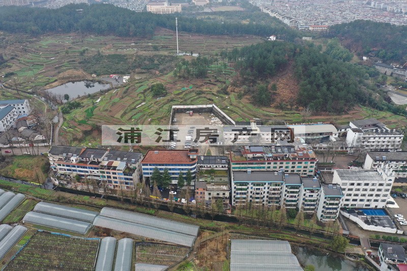 實(shí)景圖