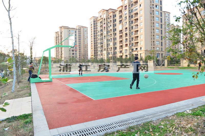 實(shí)景圖