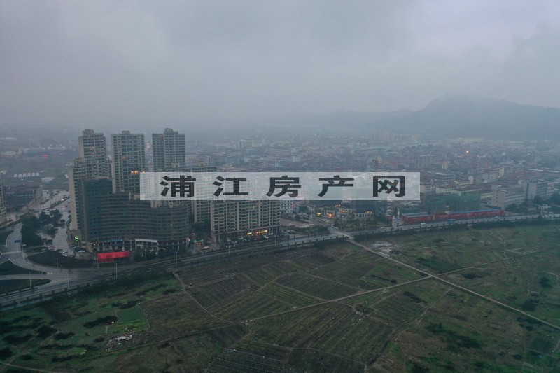 實景圖