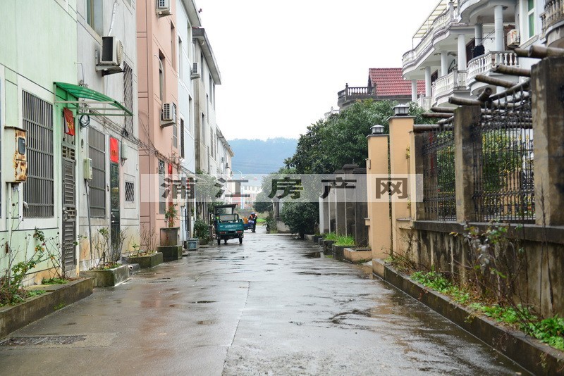 實景圖