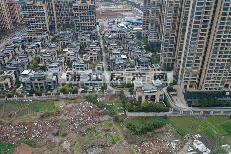 實景圖