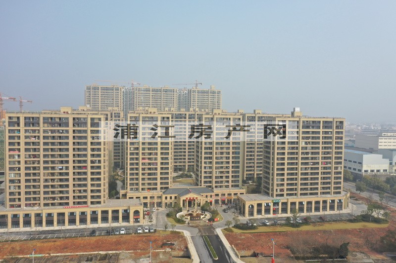 實(shí)景圖