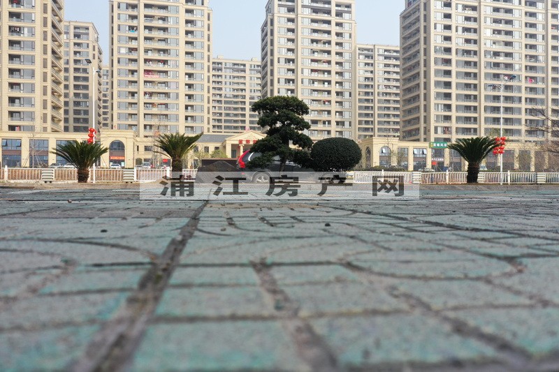 實(shí)景圖