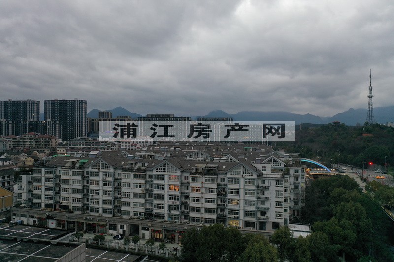 實景圖