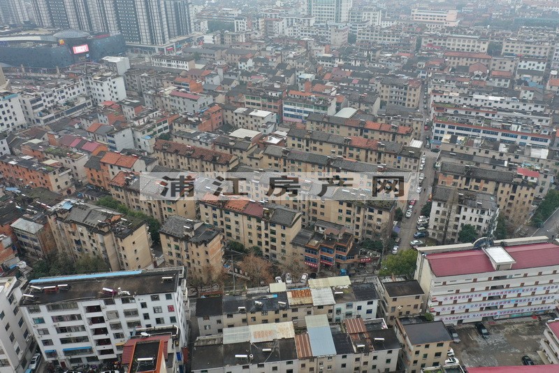 實景圖