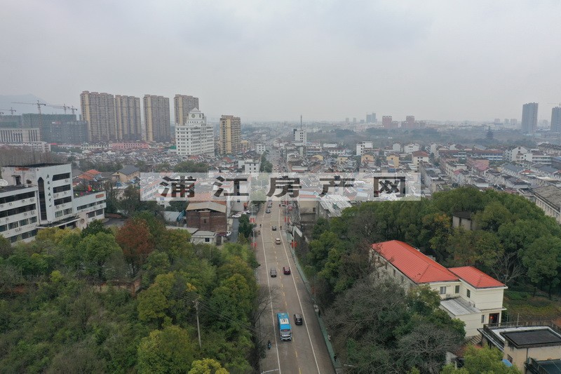 實景圖