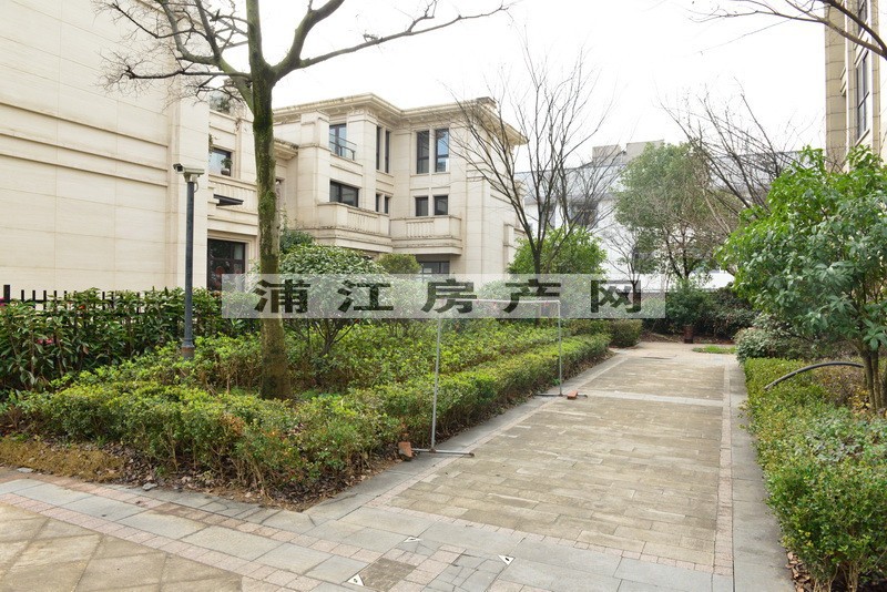 實(shí)景圖