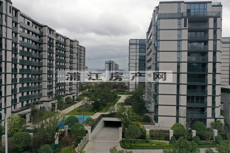 實(shí)景圖