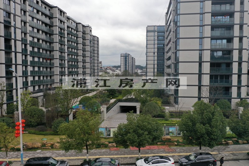 實(shí)景圖