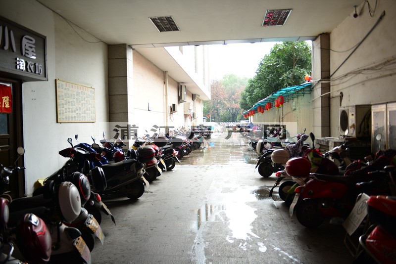 實景圖