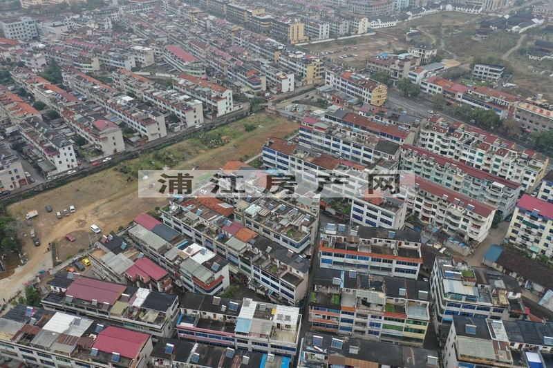 實景圖