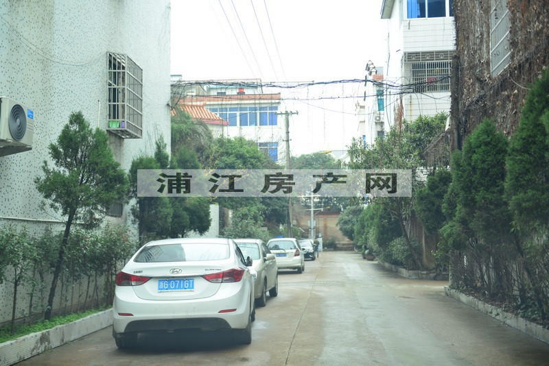 實景圖