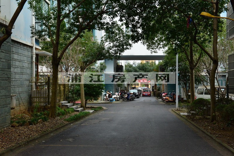 實景圖