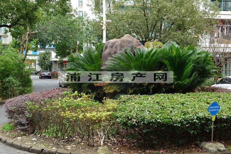 實景圖