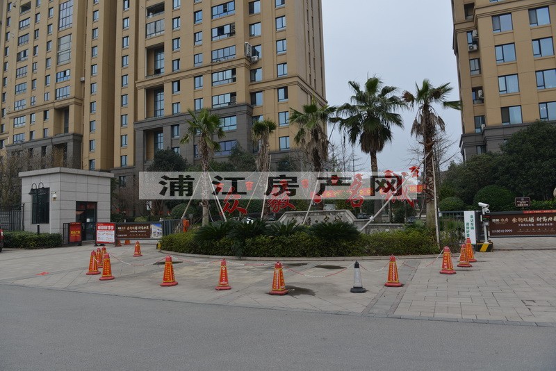 實景圖