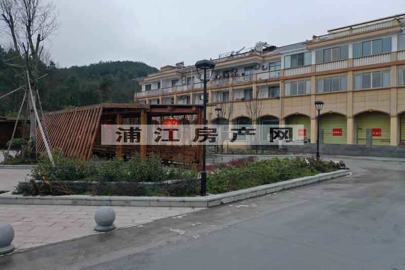 實(shí)景圖