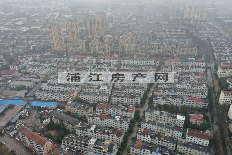 實景圖
