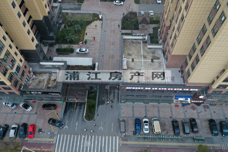 實景圖