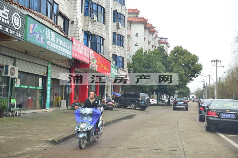 實景圖