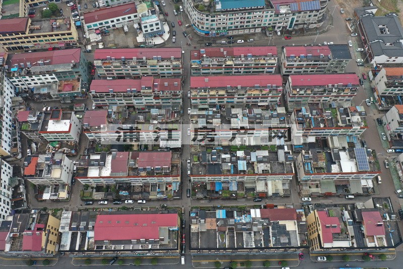 實景圖