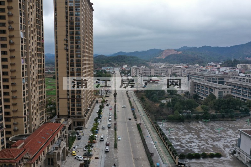 實景圖