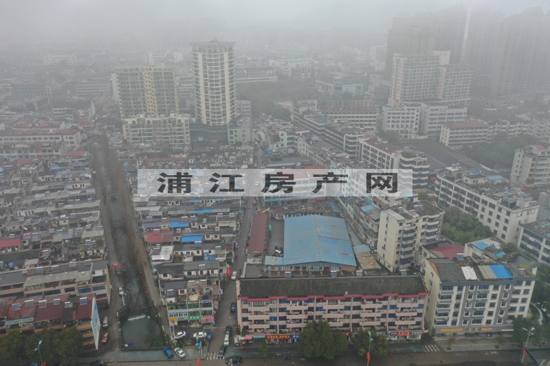 實景圖