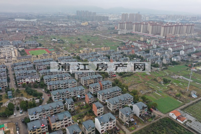 實景圖