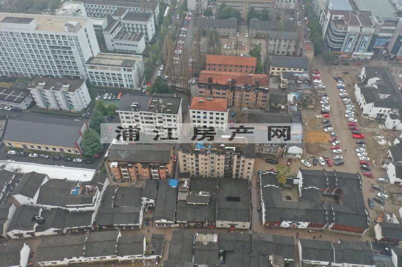 實景圖