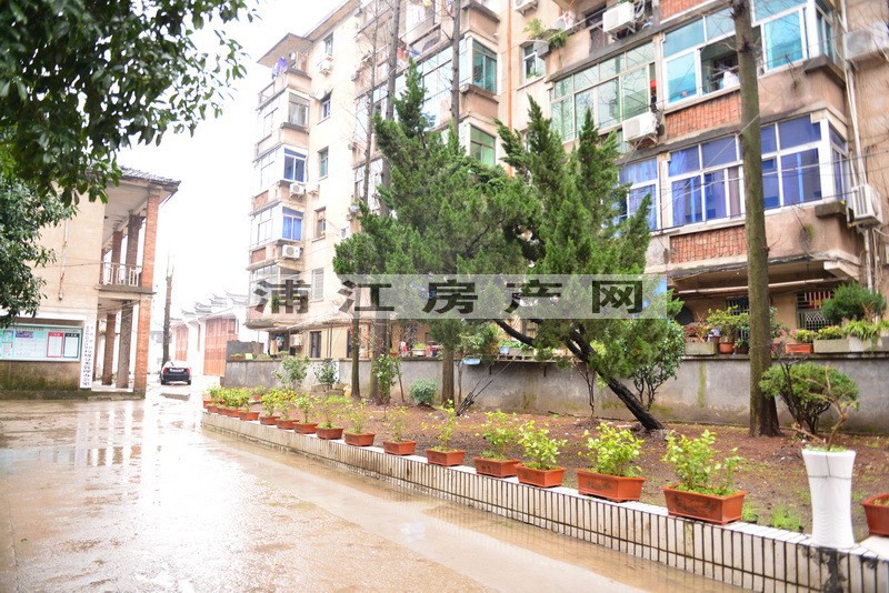 實景圖