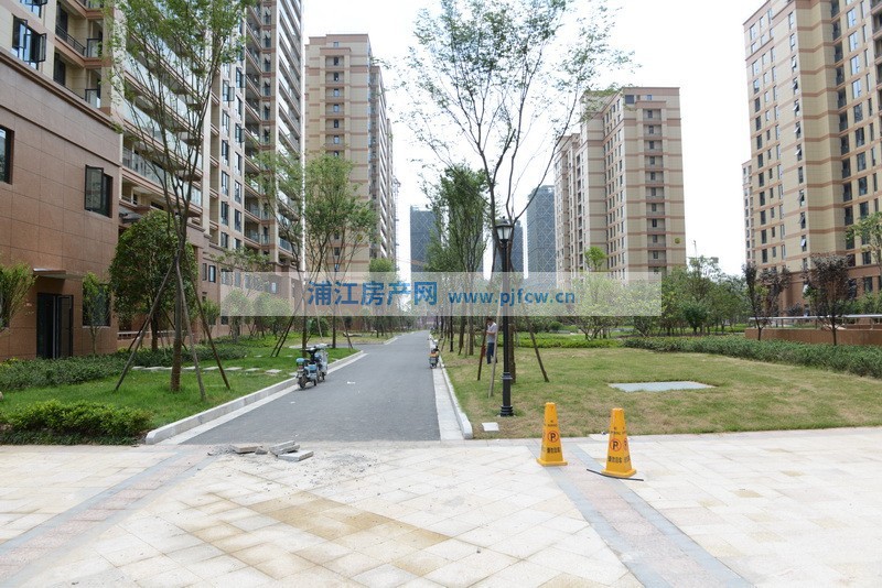 實(shí)景圖